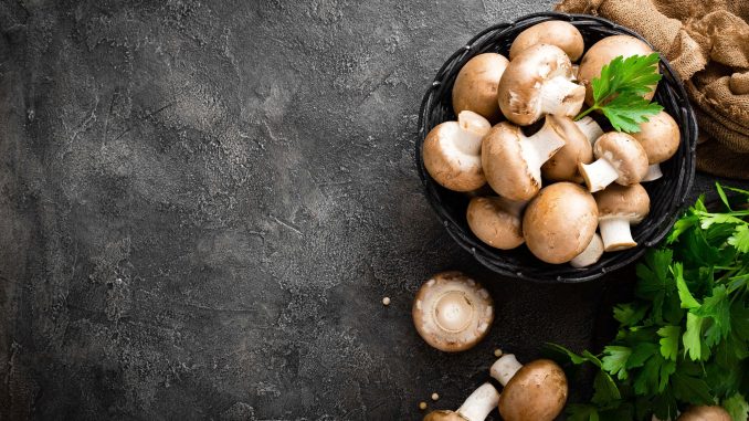 Mushrooms – what are their health properties? You will be shocked!