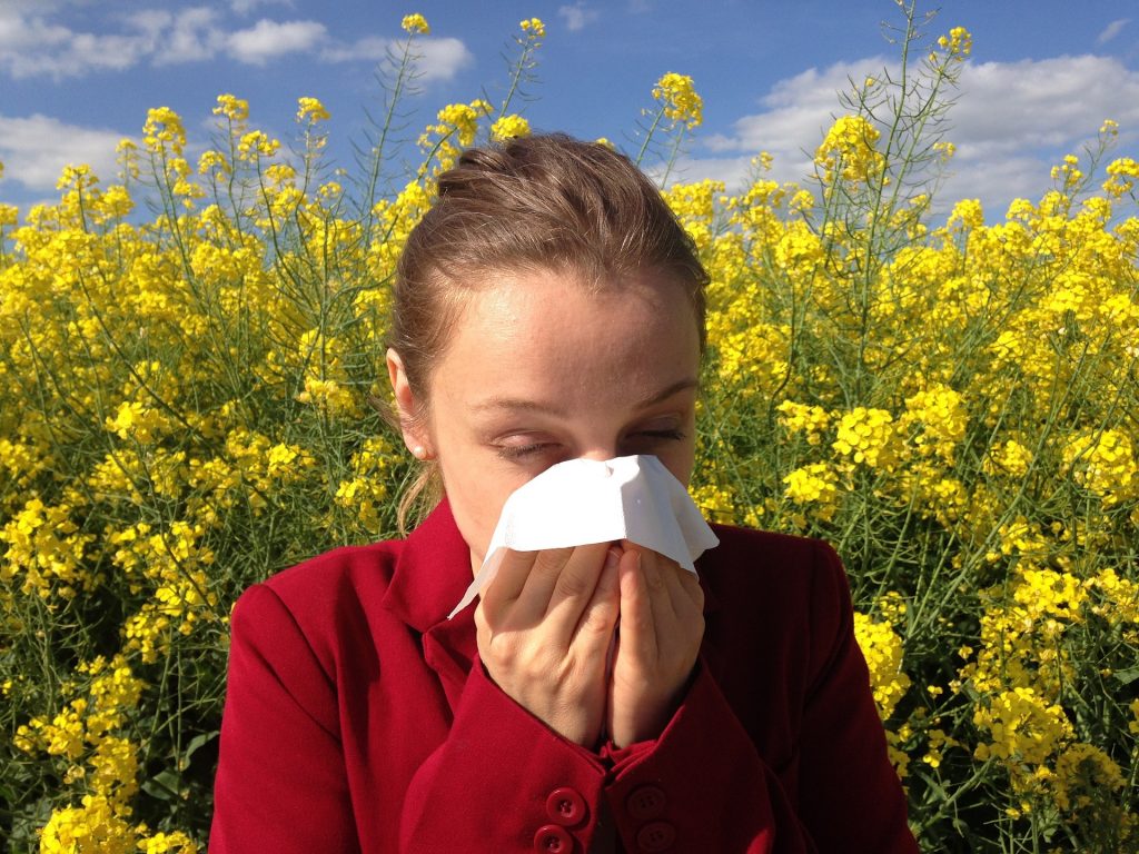 alergia na zioła - leczenie