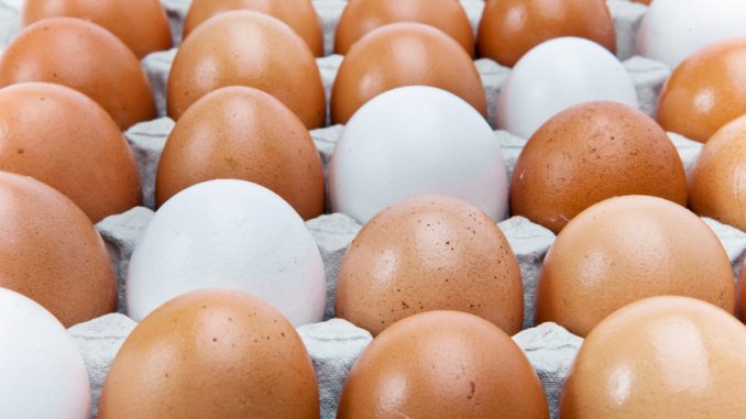 Dieta jajeczna – zdrowy sposób na odchudzanie