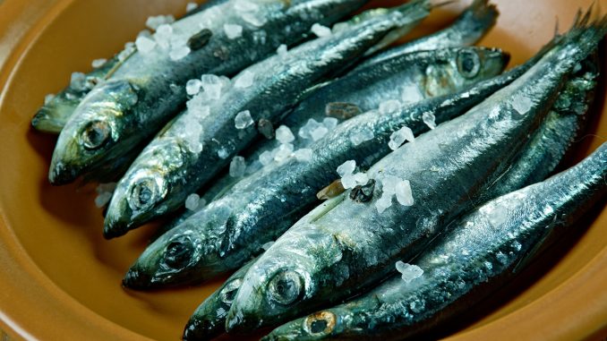 Pickled herring – is it worth choosing this delicacy?