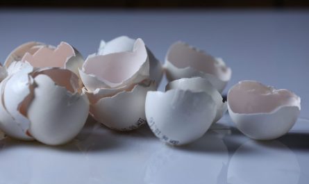 osteoporoza a odżywcze właściwości jaj