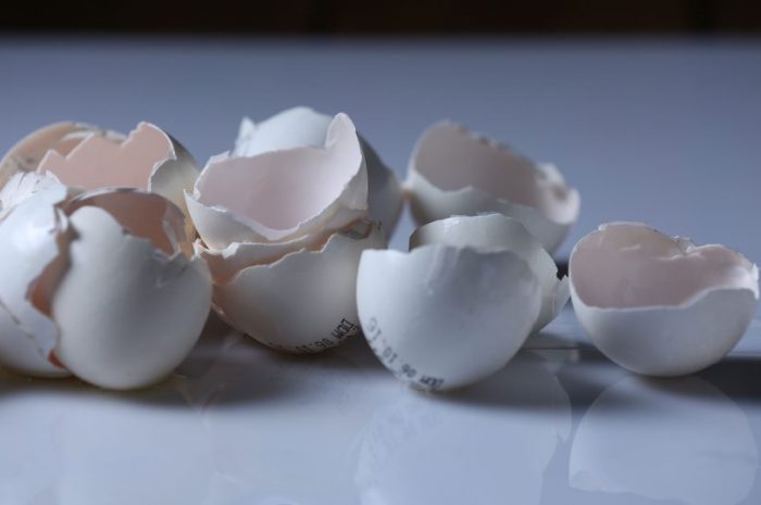 Osteoporoza a odżywcze właściwości skorupek jaj