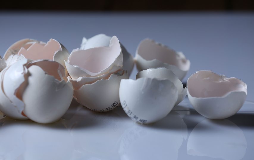 osteoporoza a odżywcze właściwości jaj